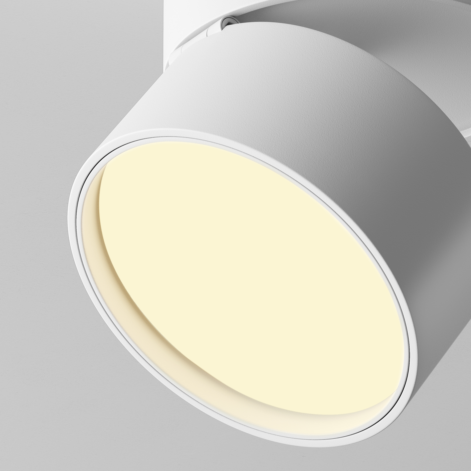 Картинка Потолочный светильник Technical C024CL-12W2.7K-W-1