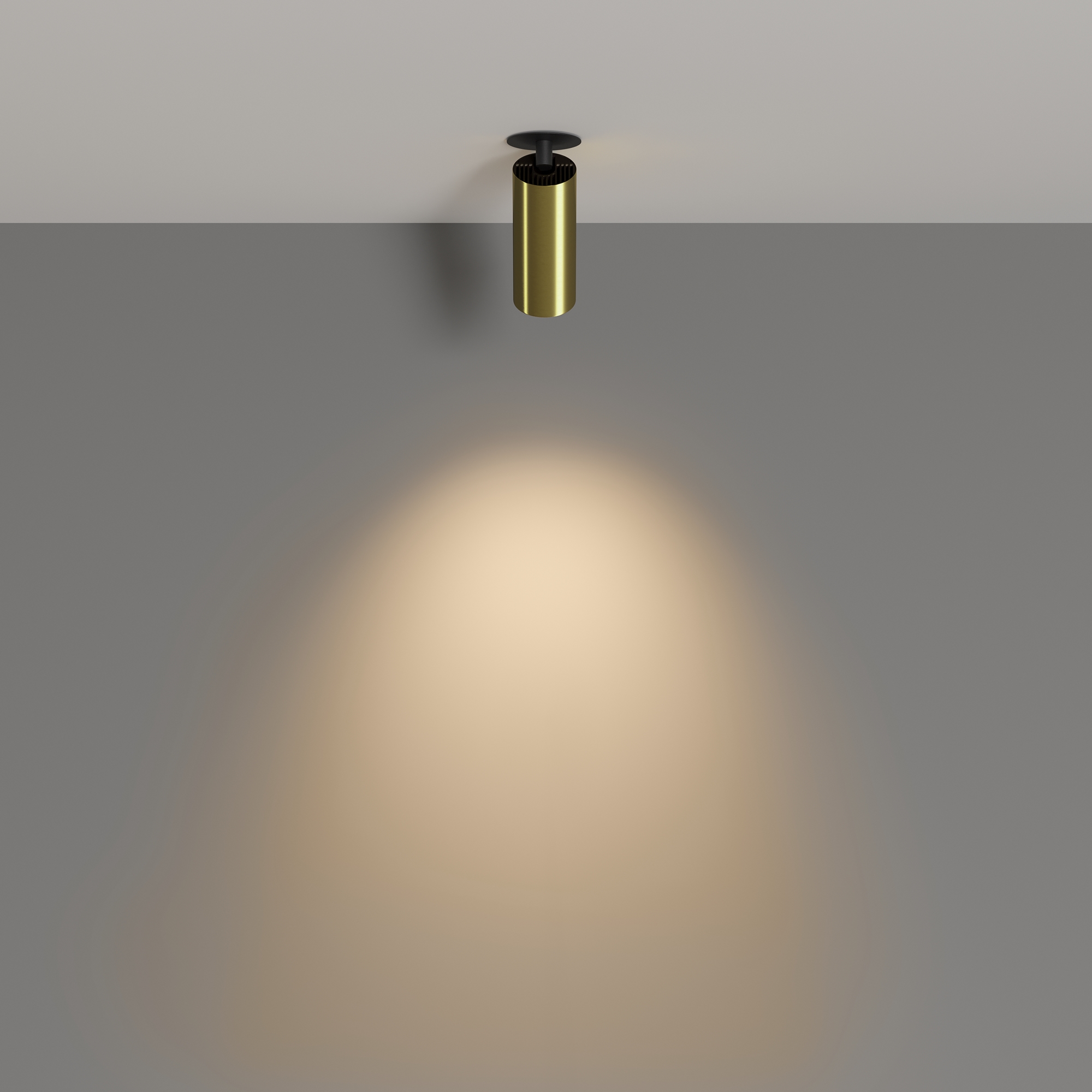 Картинка Потолочный светильник Technical C053CL-L12W3K-W-BS