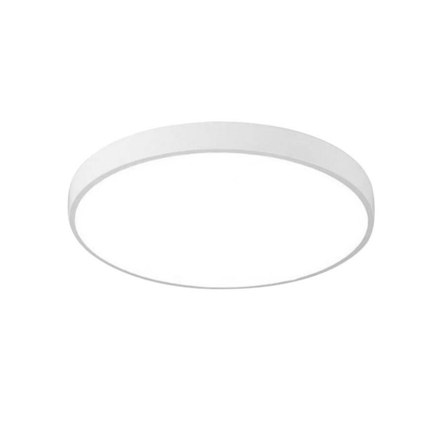 Картинка Потолочный светодиодный светильник Arte Lamp Arena A2670PL-1WH
