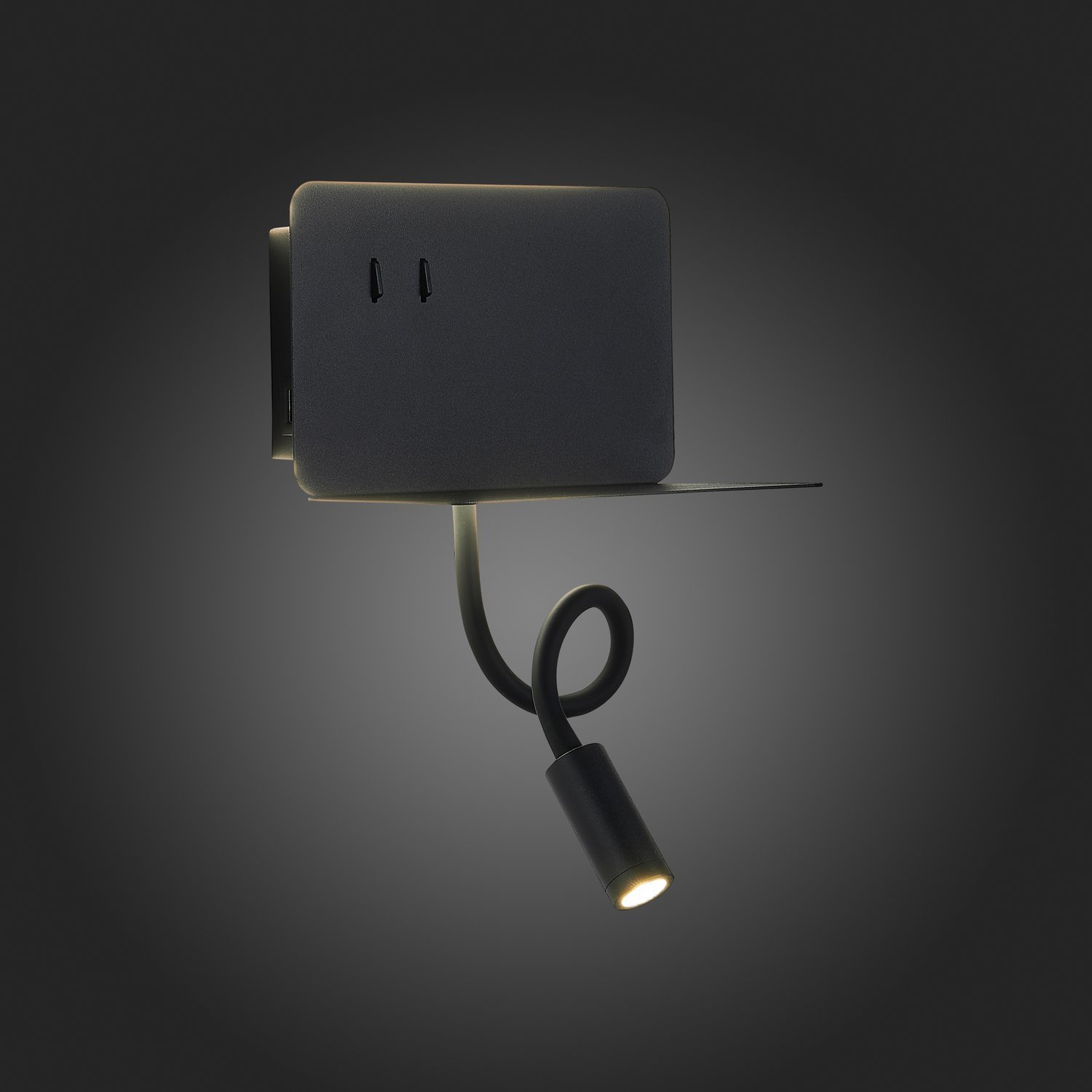 Картинка Настенный светодиодный светильник ST Luce Pinaggio SL1576.401.02