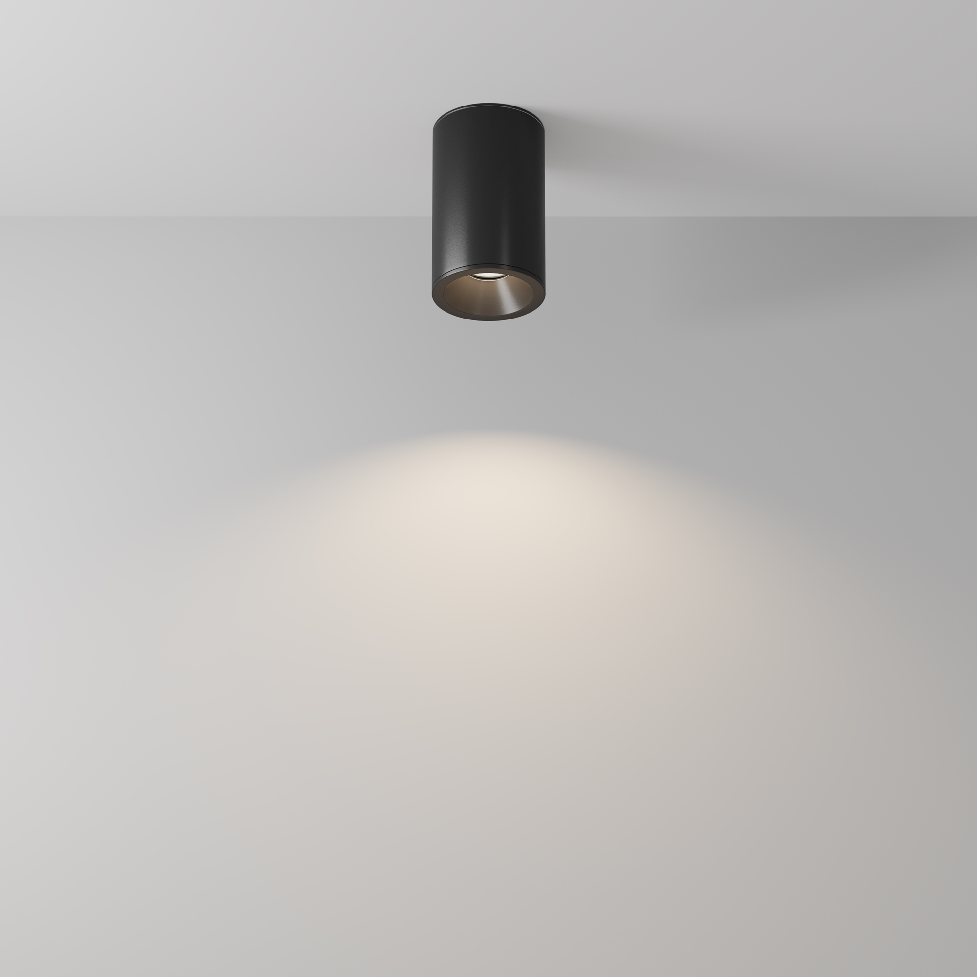 Картинка Потолочный светильник Technical C029CL-01-S-B