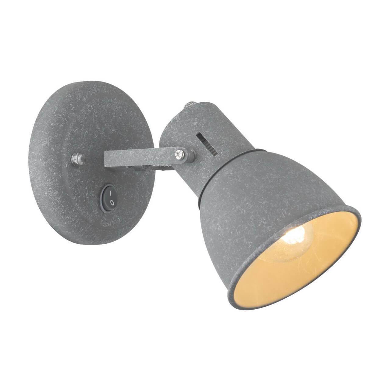 Картинка Спот Arte Lamp A1677AP-1GY