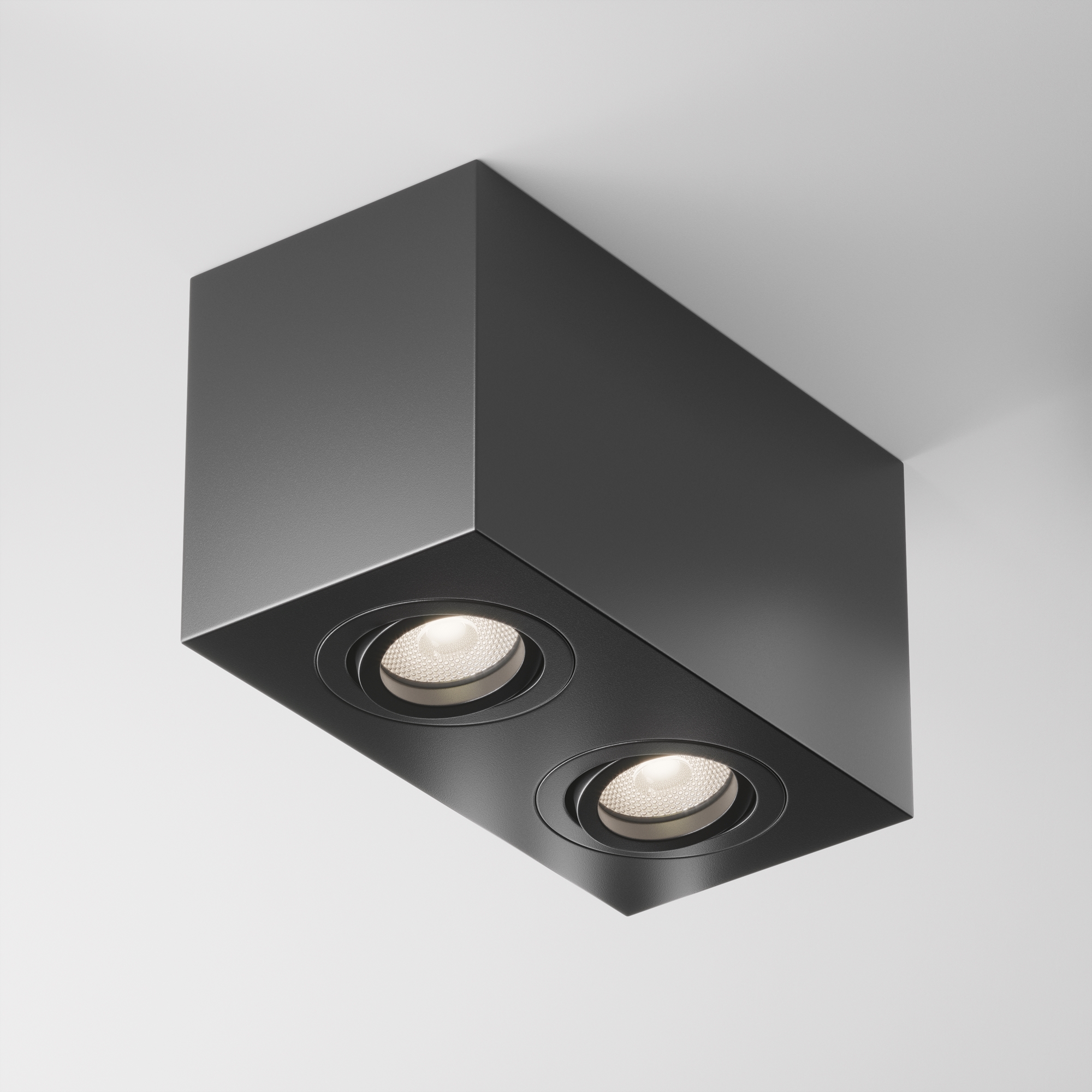 Картинка Потолочный светильник Technical C017CL-02B