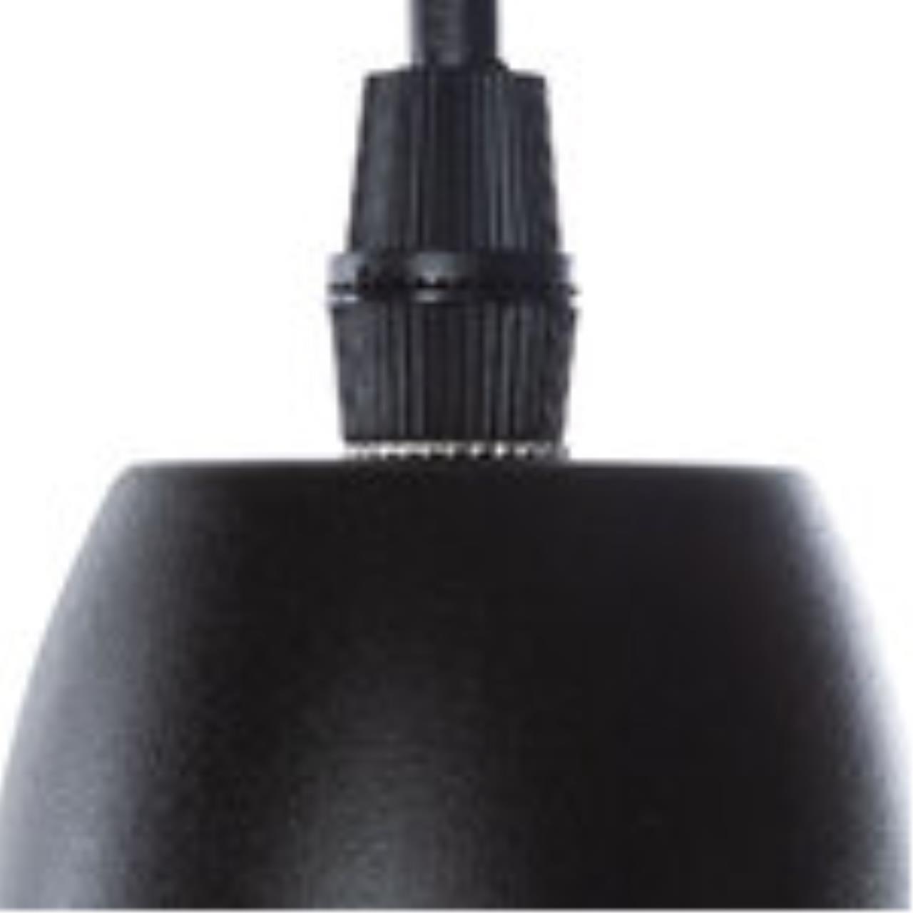 Картинка Подвесной светильник Arte Lamp Braccio A2054SP-1BK