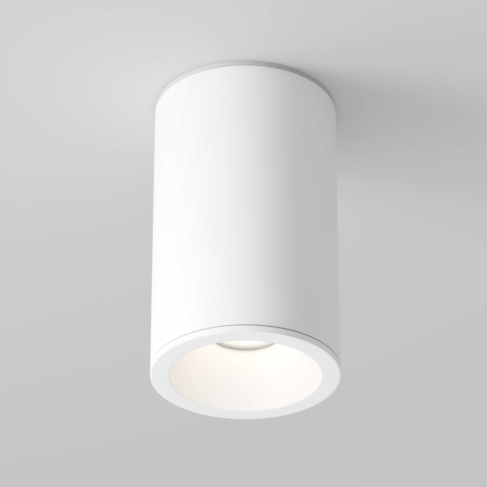 Картинка Потолочный светильник Technical C029CL-01-S-W