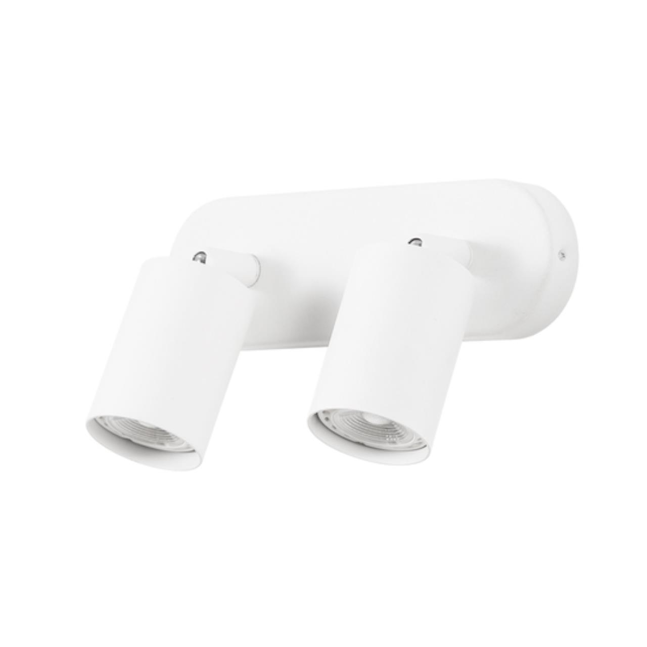 Картинка Потолочный светильник Arte Lamp AQUARIUS A3226PL-2WH