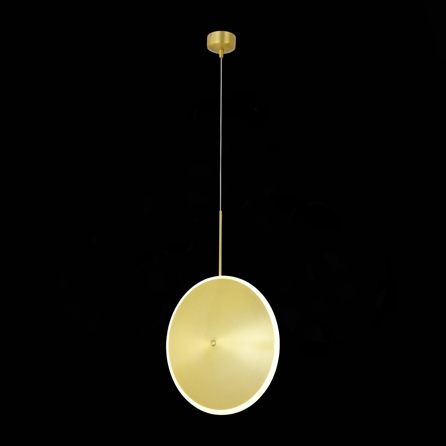 Картинка Подвесной светодиодный светильник ST Luce Imente SL1221.213.01
