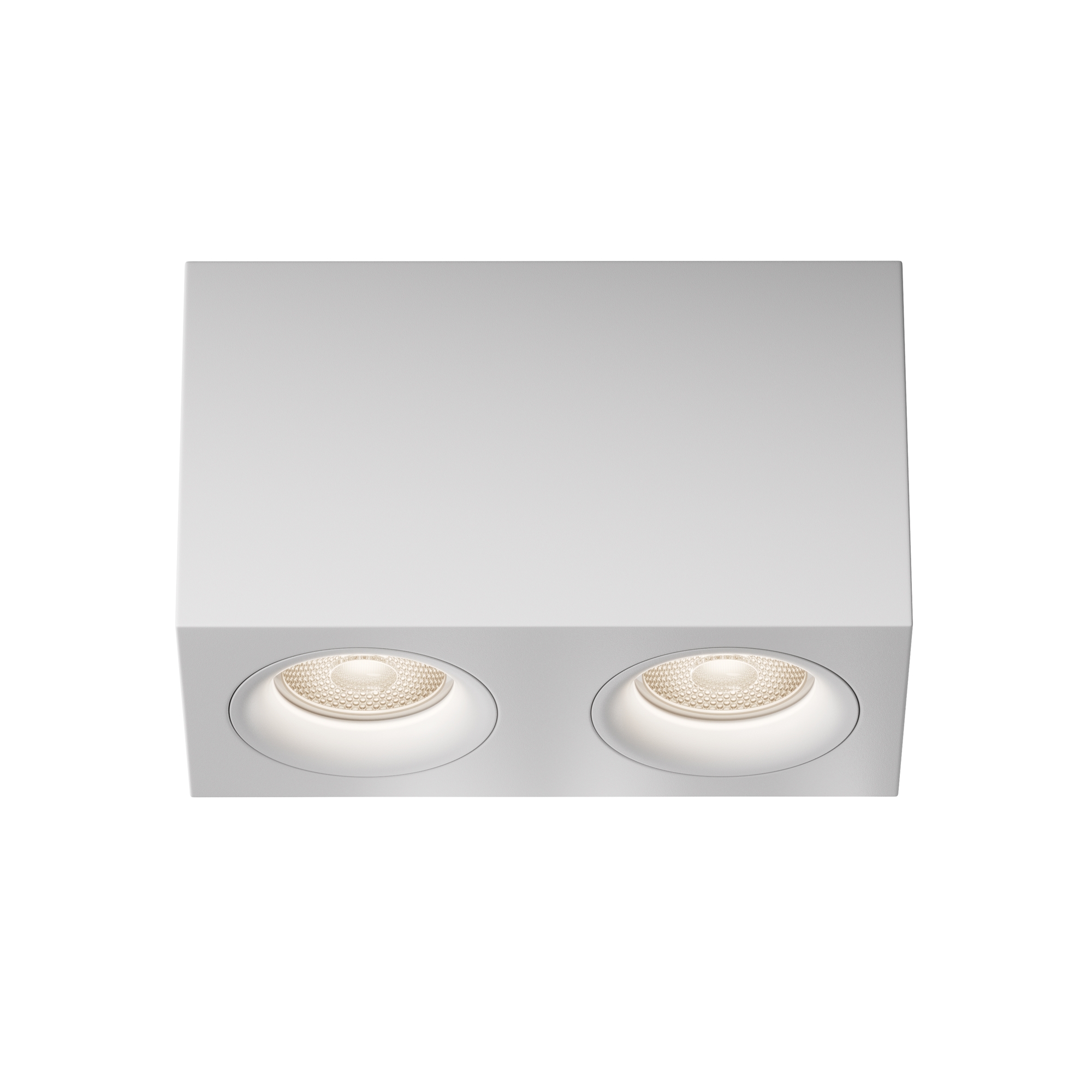 Картинка Потолочный светильник Technical C013CL-02W