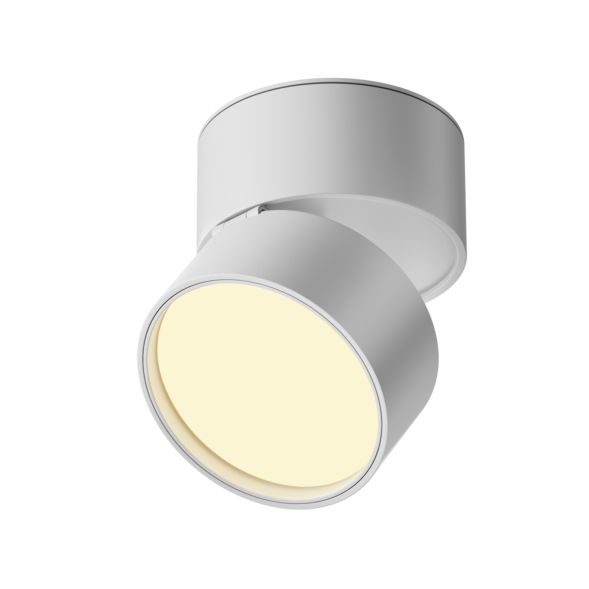 Картинка Потолочный светильник Technical C024CL-12W2.7K-W-1
