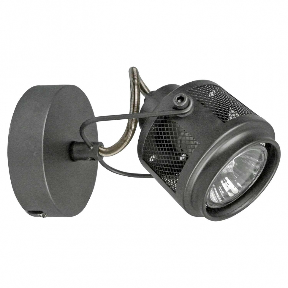 Картинка Спот Lussole Loft Haines LSP-8045