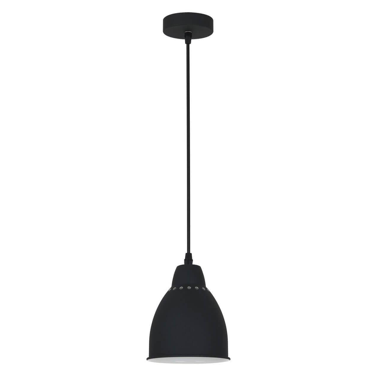Картинка Подвесной светильник Arte Lamp Braccio A2054SP-1BK