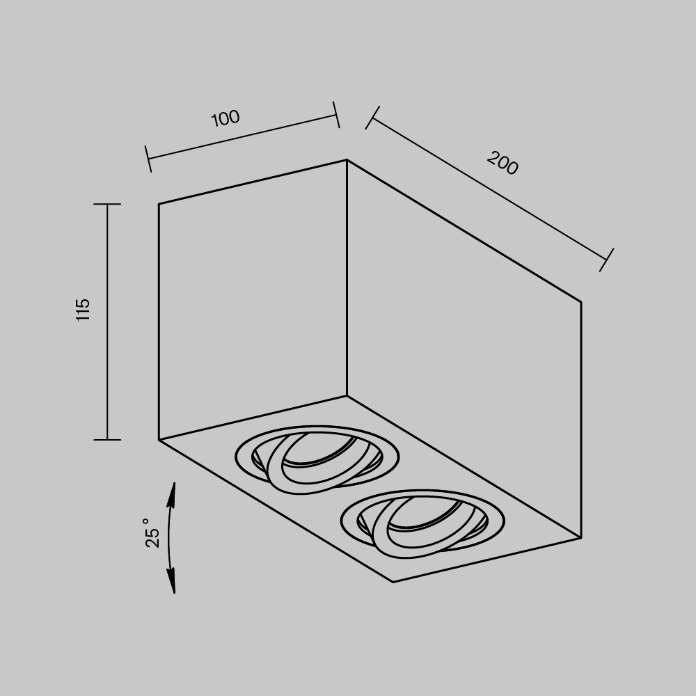 Картинка Потолочный светильник Technical C017CL-02W