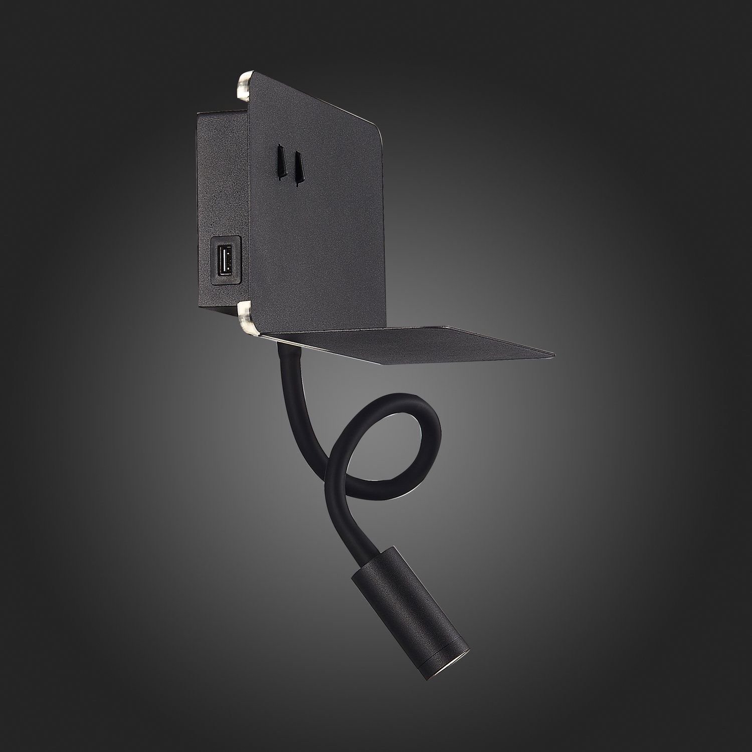 Картинка Настенный светодиодный светильник ST Luce Pinaggio SL1576.401.02