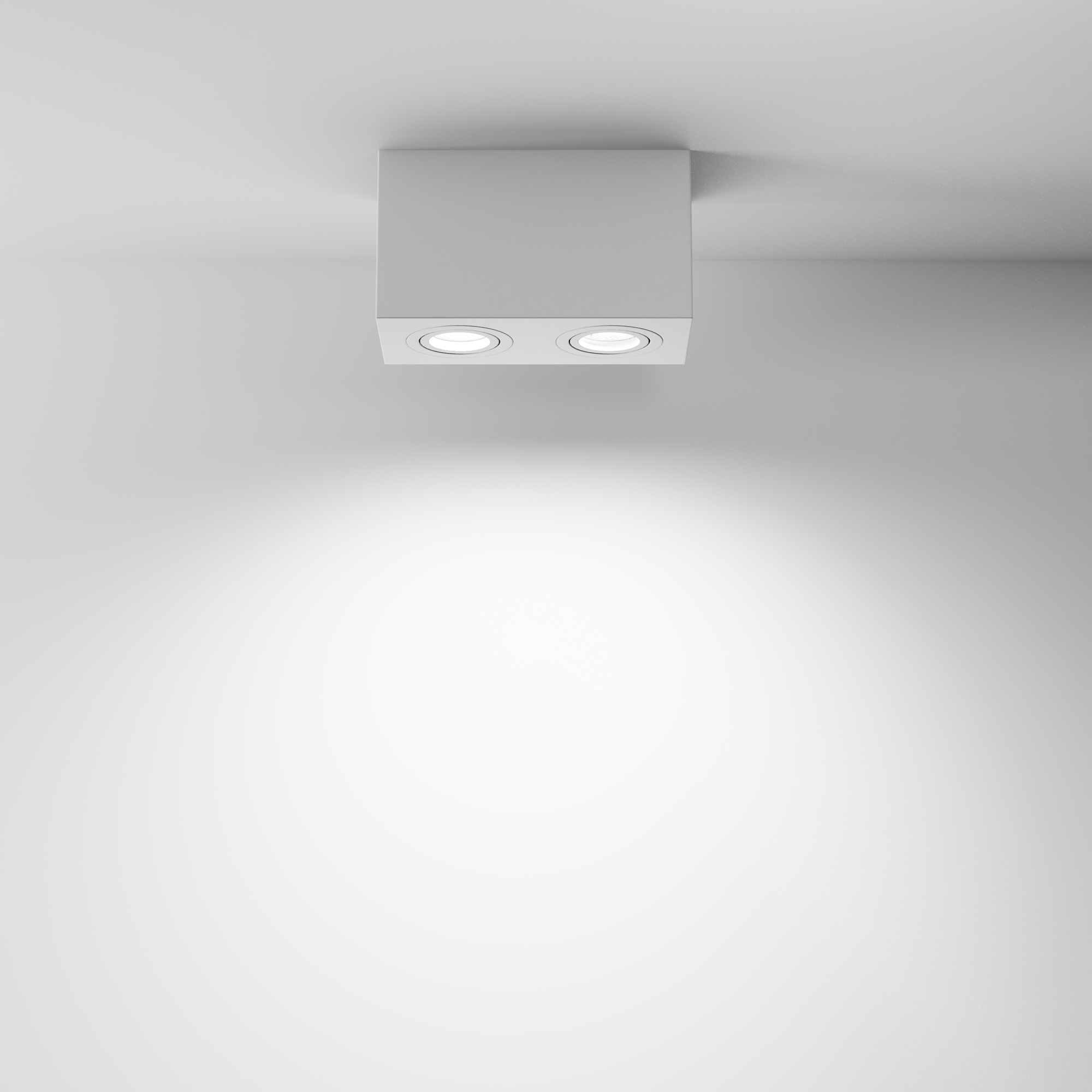 Картинка Потолочный светильник Technical C017CL-02W