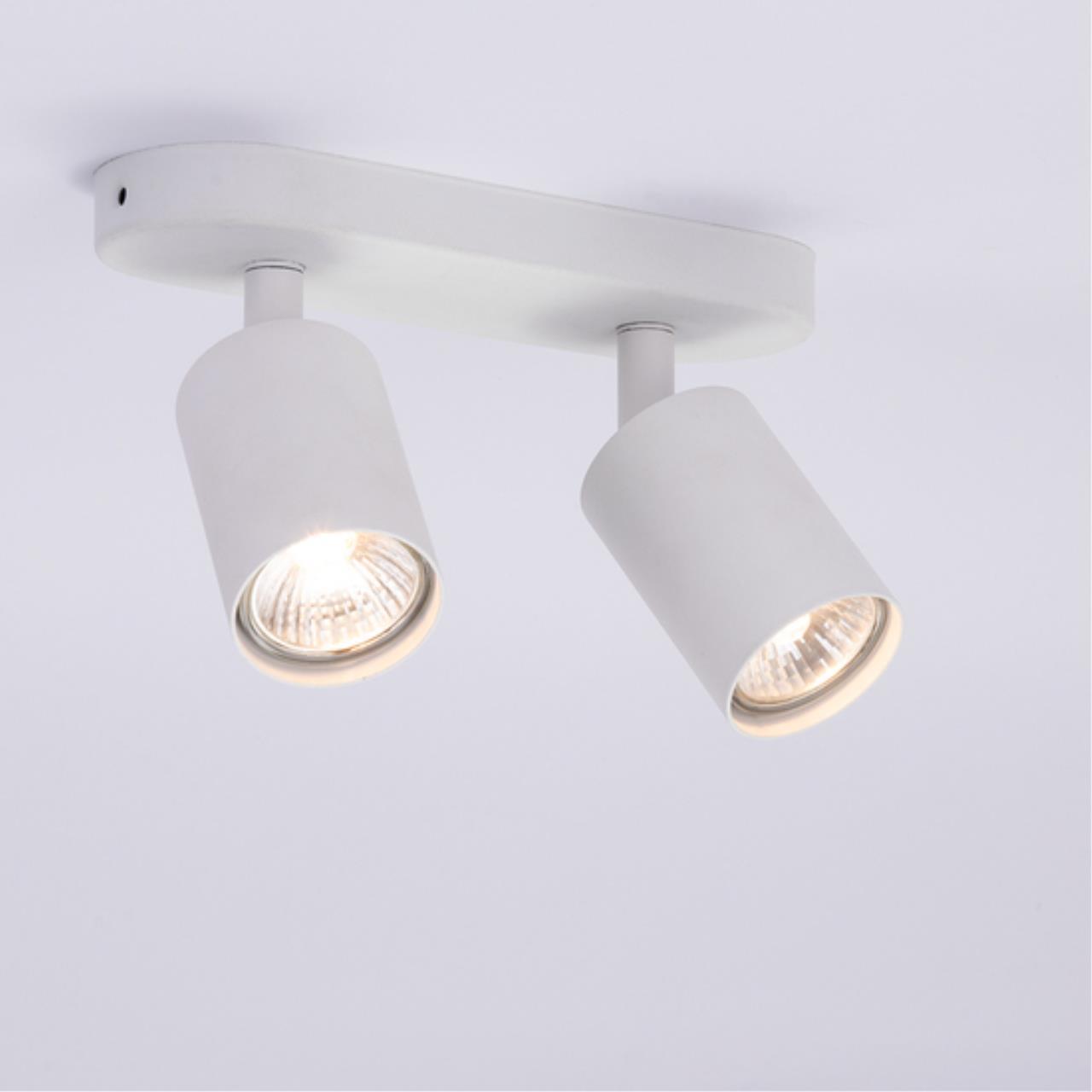 Картинка Потолочный светильник Arte Lamp AQUARIUS A3226PL-2WH