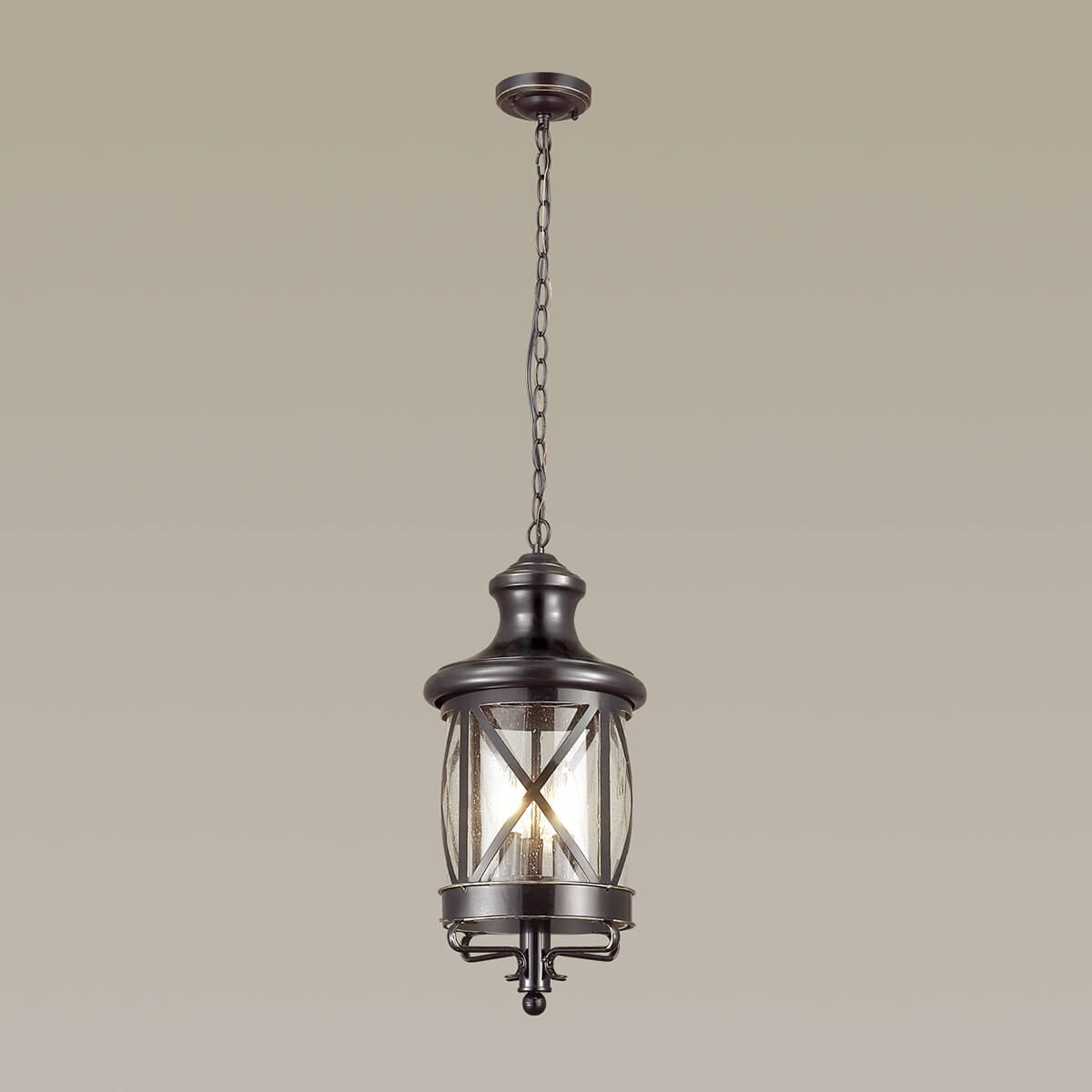 Картинка Уличный подвесной светильник Odeon Light Nature Sation 4045/3