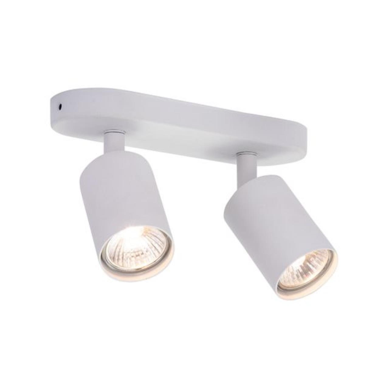 Картинка Потолочный светильник Arte Lamp AQUARIUS A3226PL-2WH