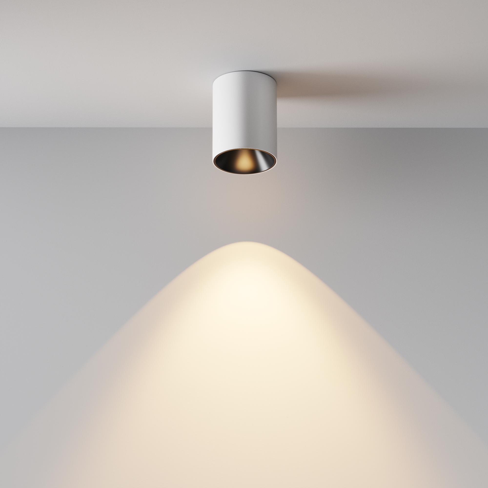 Картинка Потолочный светильник Technical C064CL-8W3K-RD-WB