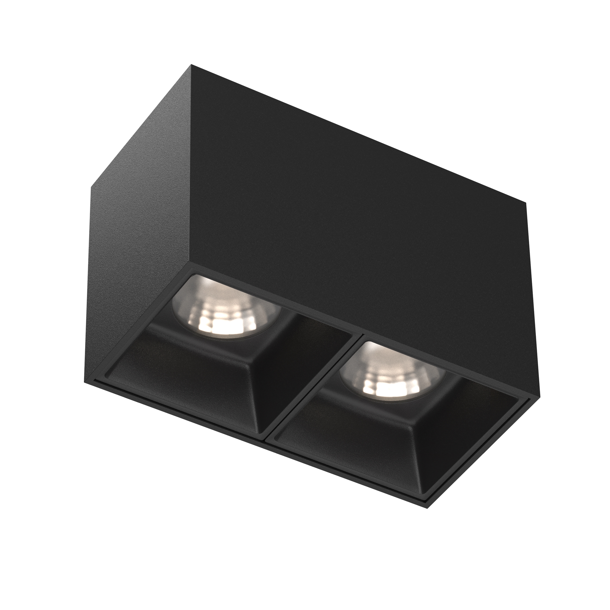 Картинка Потолочный светильник Technical C065CL-02-L12W4K-B