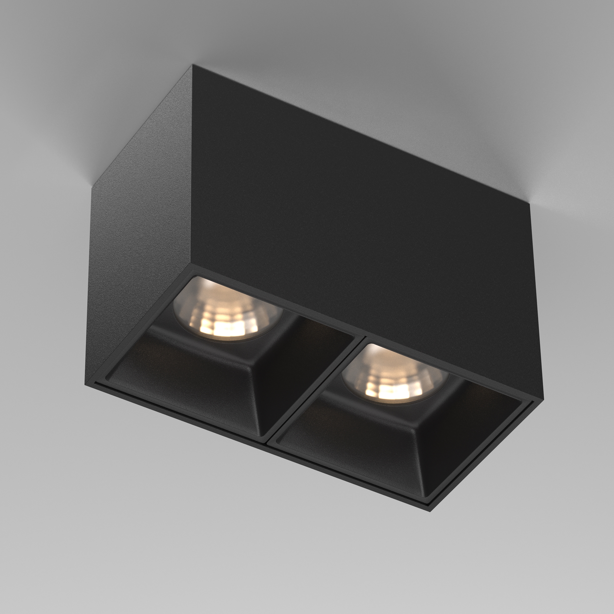 Картинка Потолочный светильник Technical C065CL-02-L12W3K-B