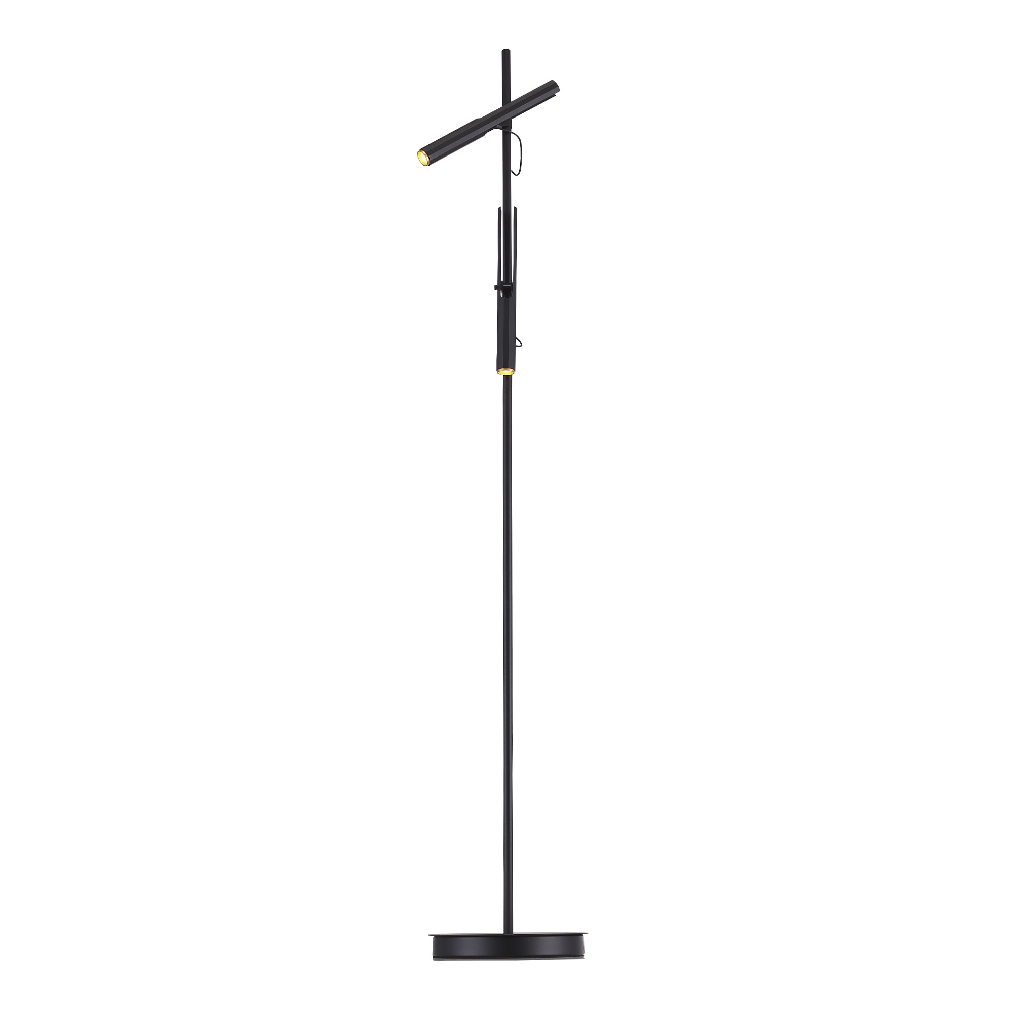 Картинка SL6210.405.02 Светильник напольный ST-Luce 
