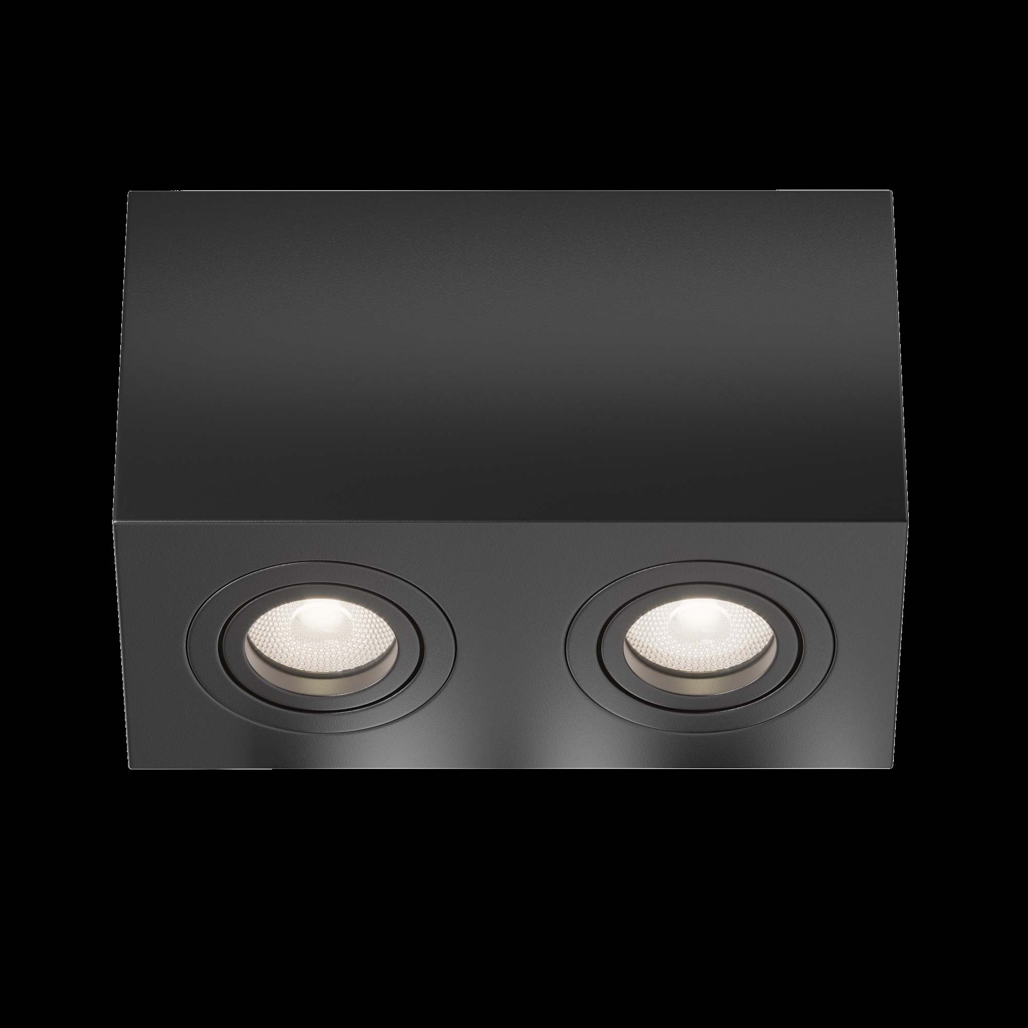 Картинка Потолочный светильник Technical C017CL-02B