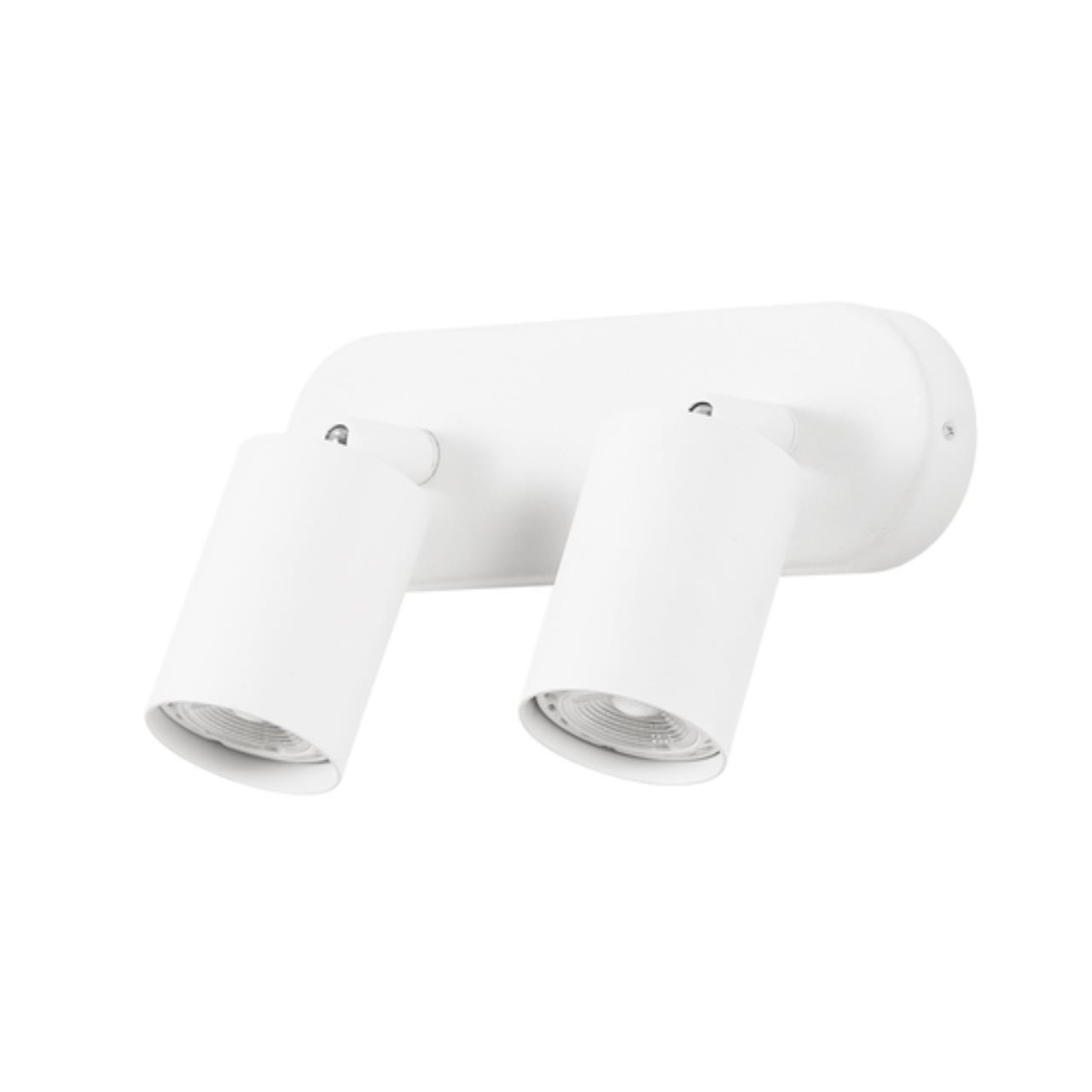 Картинка Потолочный светильник Arte Lamp AQUARIUS A3226PL-2WH