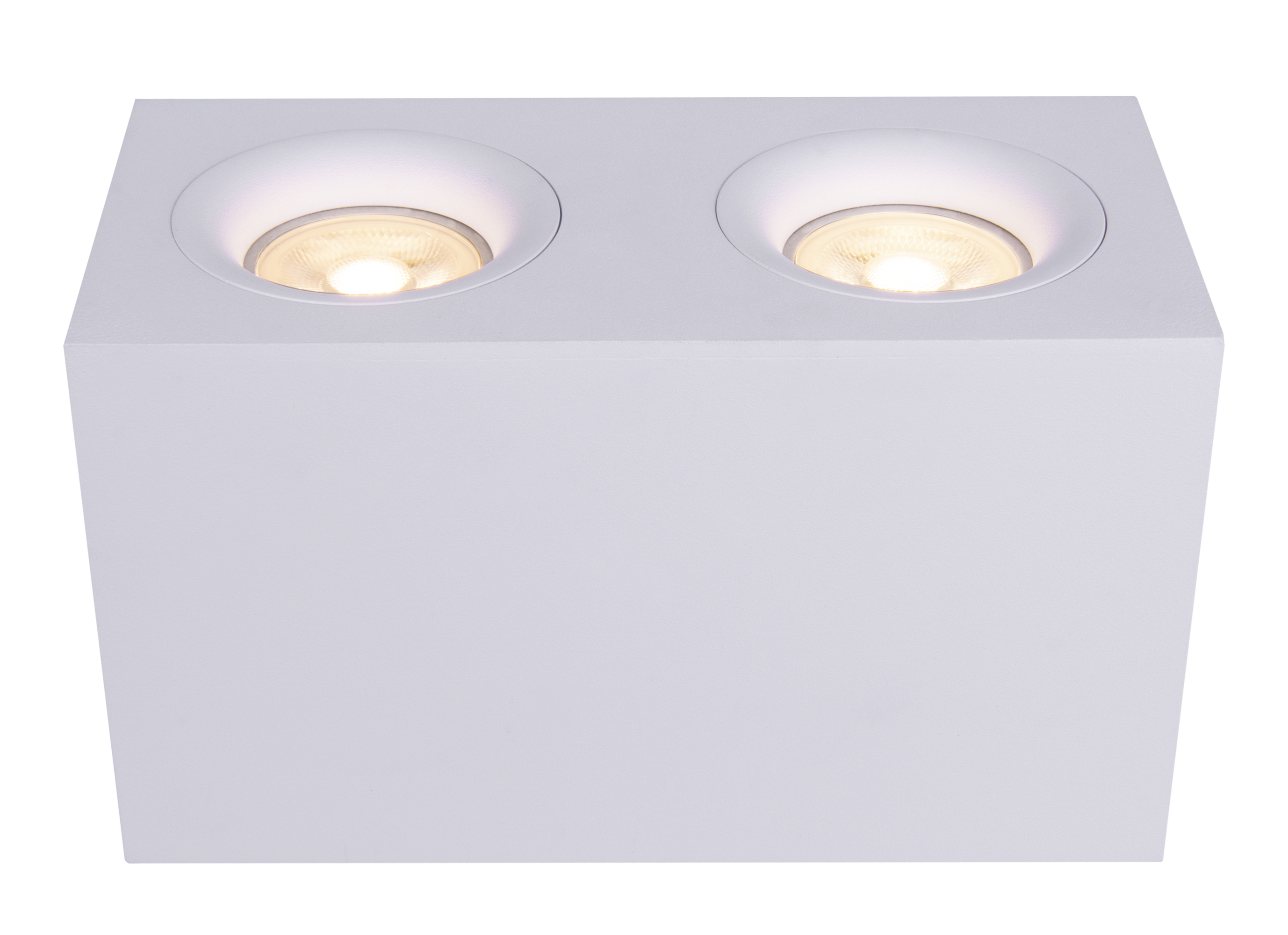 Картинка Потолочный светильник Technical C013CL-02W