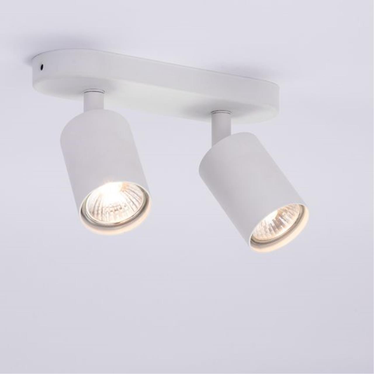 Картинка Потолочный светильник Arte Lamp AQUARIUS A3226PL-2WH