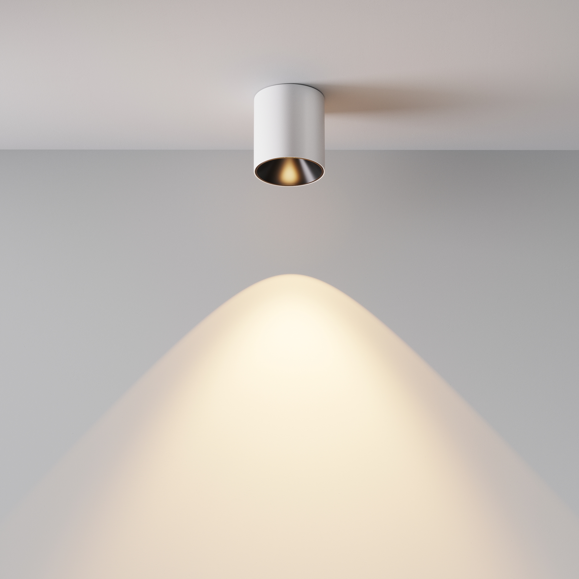 Картинка Потолочный светильник Technical C064CL-5W3K-RD-WB