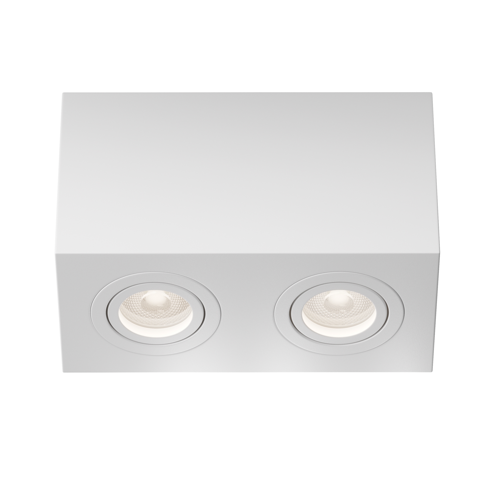 Картинка Потолочный светильник Technical C017CL-02W