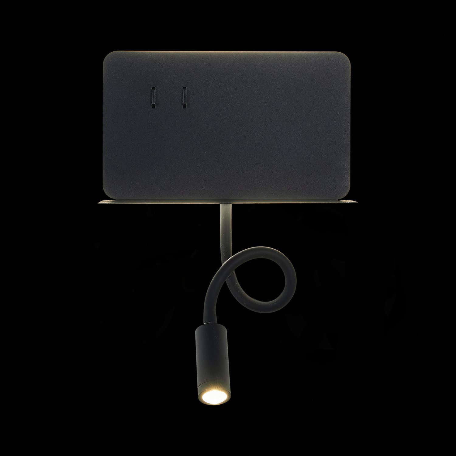 Картинка Настенный светодиодный светильник ST Luce Pinaggio SL1576.401.02