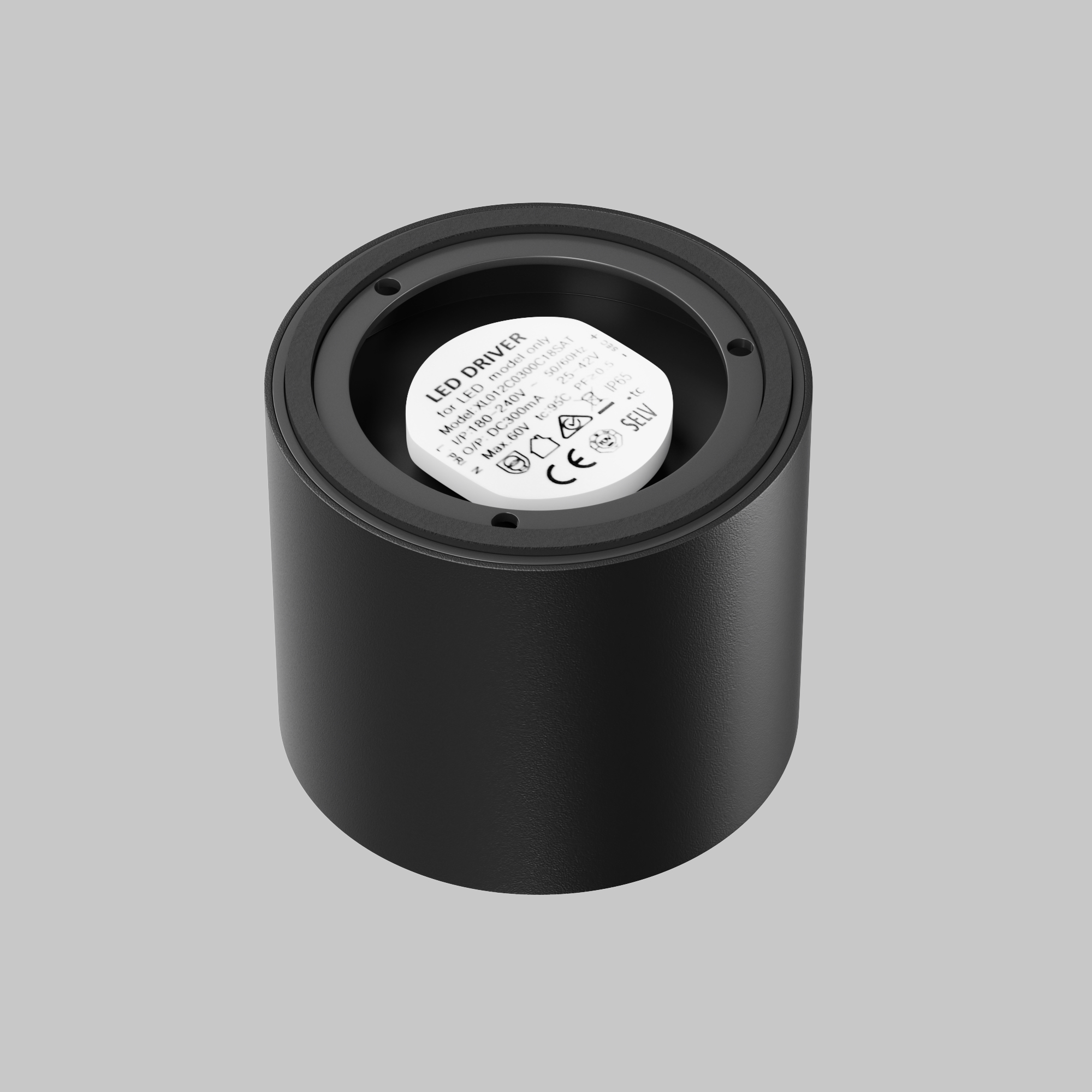 Картинка Потолочный светильник Technical C217CL-15W4K-B