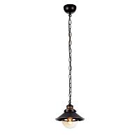Дополнительная картинка Подвесной светильник Arte Lamp Grazioso A4577SP-1CK