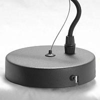 Дополнительная картинка Подвесная люстра Lussole Lgo Huron LSP-8156