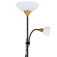 Торшер Arte Lamp Duetto A9569PN-2BK купить в Алматы svet.kz
