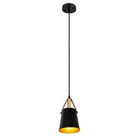 Дополнительная картинка Светильник подвесной Arte Lamp THOMAS A7032SP-1BK