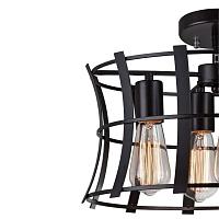 Дополнительная картинка Подвесная люстра Favourite Werk 1521-4PC