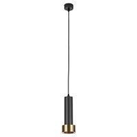 Дополнительная картинка Подвесной светильник Arte Lamp RAN A3147SP-1BK