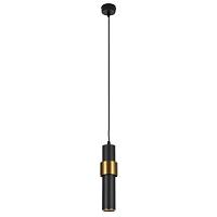 Дополнительная картинка Подвесной светильник Arte Lamp RAN A3144SP-1BK