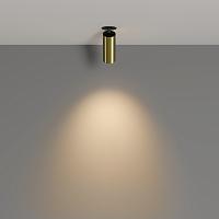 Дополнительная картинка Потолочный светильник Technical C053CL-L12W3K-W-BS