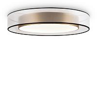 Дополнительная картинка Потолочный светильник Freya FR6005CL-L48G