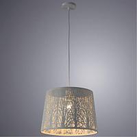 Дополнительная картинка Подвесной светильник Arte Lamp Celesta A2769SP-1WH