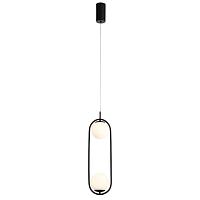 Дополнительная картинка Подвесной светодиодный светильник ST Luce SL395.403.02