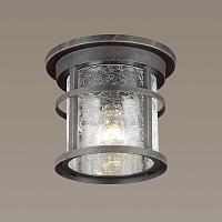 Дополнительная картинка Уличный светильник Odeon Light Nature Virta 4044/1C