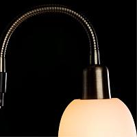 Дополнительная картинка Торшер Arte Lamp Duetto A9569PN-2AB