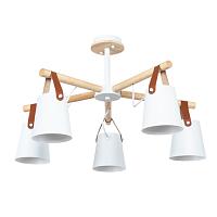 Дополнительная картинка Потолочный светильник Arte Lamp THOMAS A7032PL-5WH