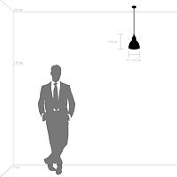 Дополнительная картинка Подвесной светильник Lightstar Loft 865016