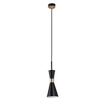 Дополнительная картинка Подвесной светильник Lightstar Dumo 816017