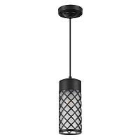 Дополнительная картинка Уличный подвесной светильник Odeon Light Nature Dunes 4834/1